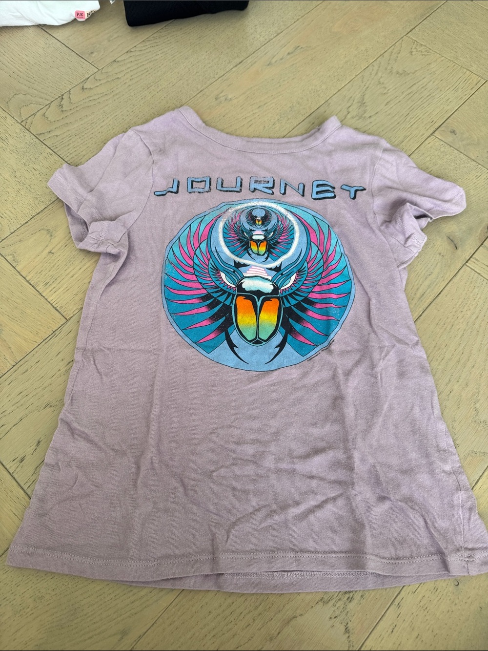 Chaser Dusty Mauve Journey Scarab Graphic Tee